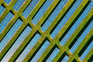 Auf einer grünen Sommerwiese stehen Solaranlagen und erzeugen aus dem Sonnenlicht Strom.
