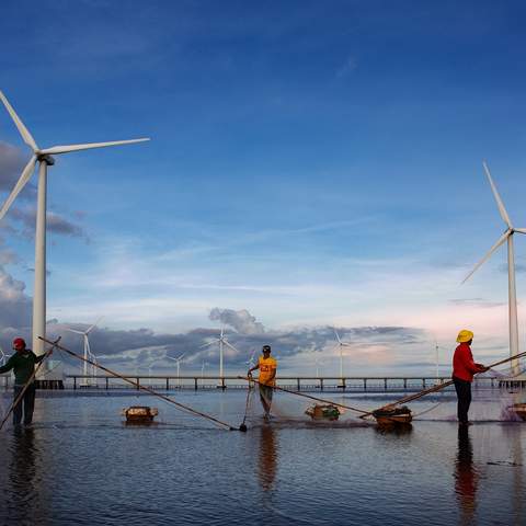 Winkraftanlagen im Meer